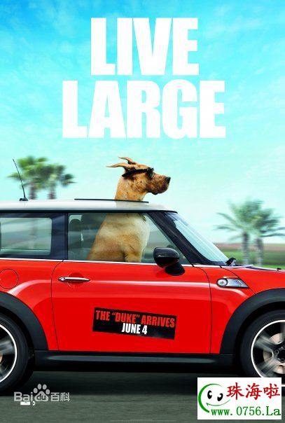 欧文·威尔逊(Owen Wilson)海报（2）