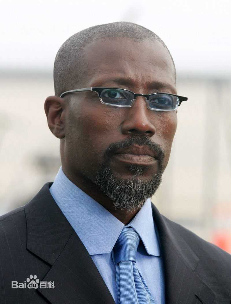 精选韦斯利·斯奈普斯(Wesley Snipes)精彩图册