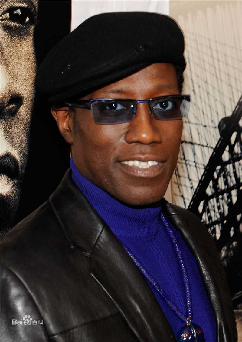 精选韦斯利·斯奈普斯(Wesley Snipes)精彩图册