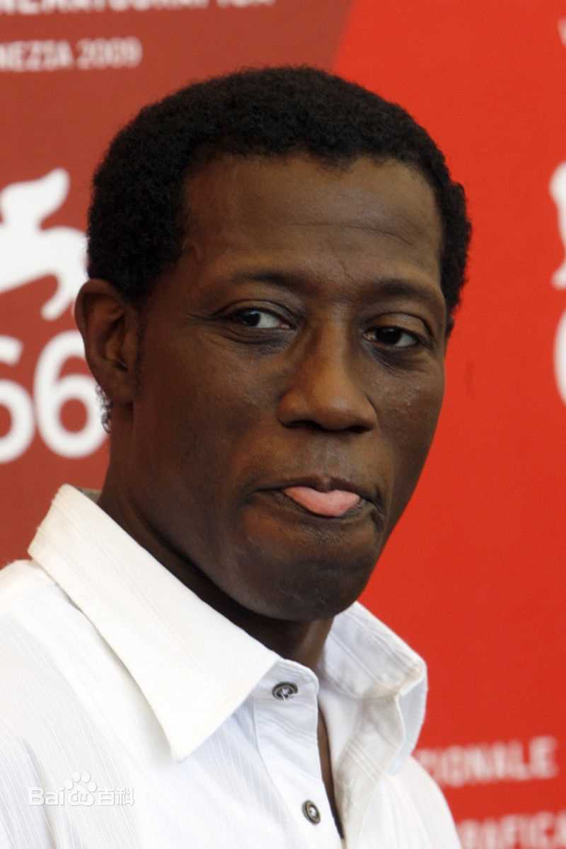 精选韦斯利·斯奈普斯(Wesley Snipes)精彩图册