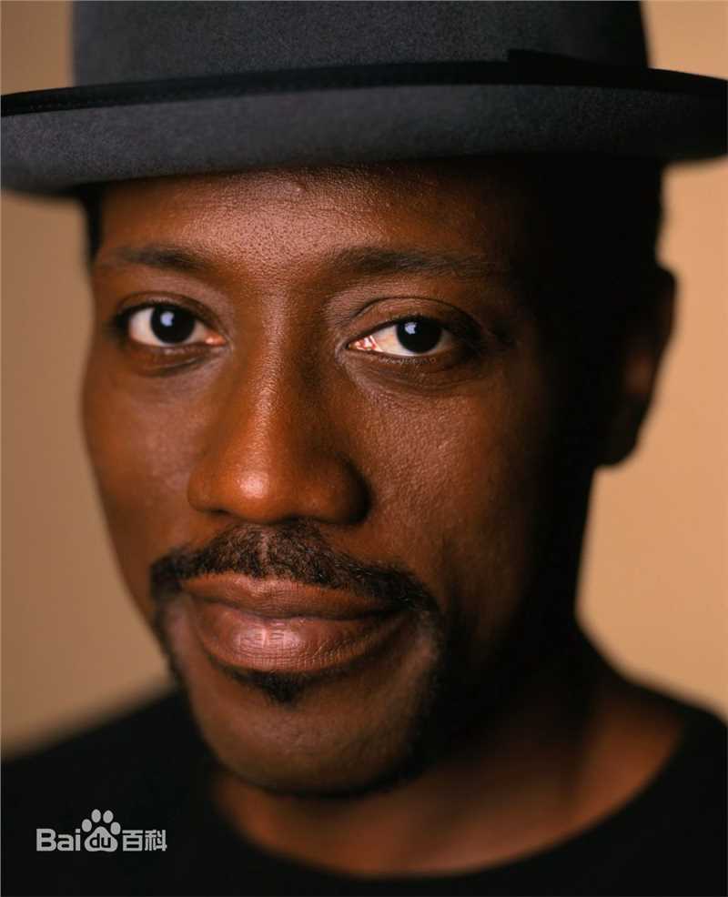 精选韦斯利·斯奈普斯(Wesley Snipes)精彩图册