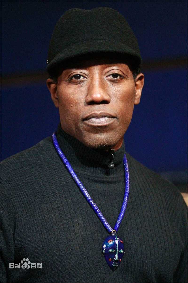 精选韦斯利·斯奈普斯(Wesley Snipes)精彩图册