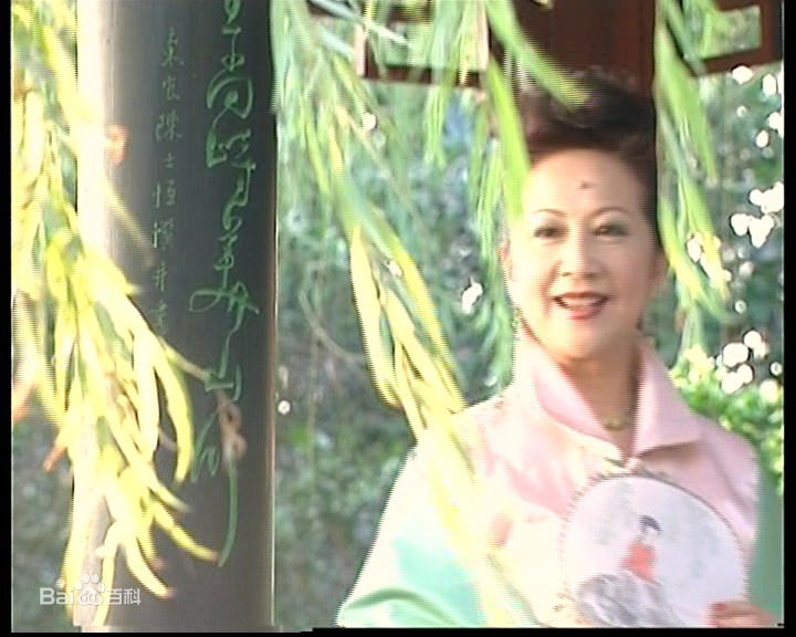 薛家燕(Nancy)电台主持照壁纸壁纸