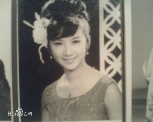 薛家燕(Nancy)锦集性感图片图集