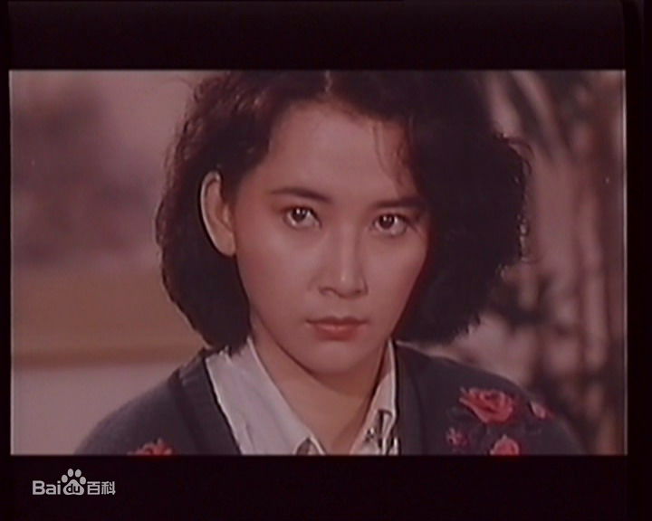 胡慧中(Sibelle Hu)在《中华警花》视频截图中的