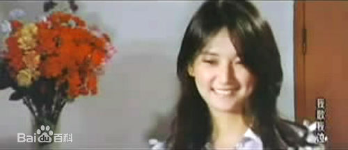 胡慧中(Sibelle Hu)参演电影作品（1979-1997）图册