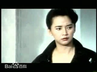 胡慧中(Sibelle Hu)参演电影作品（1979-1997）图册