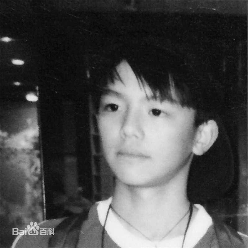 黄鸿升(Alien Huang)早年照前后照片