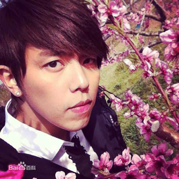 黄鸿升(Alien Huang)前后照片