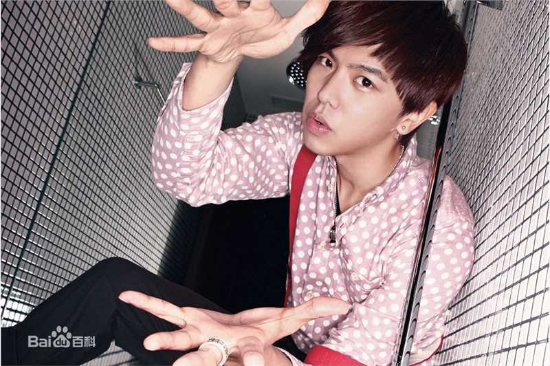 精选黄鸿升(Alien Huang)精彩图册