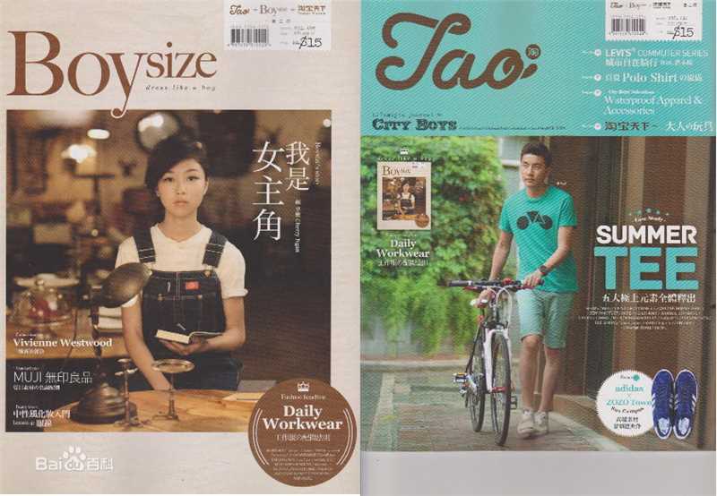 颜卓灵(Cherry Ngan)Boysize壁纸壁纸