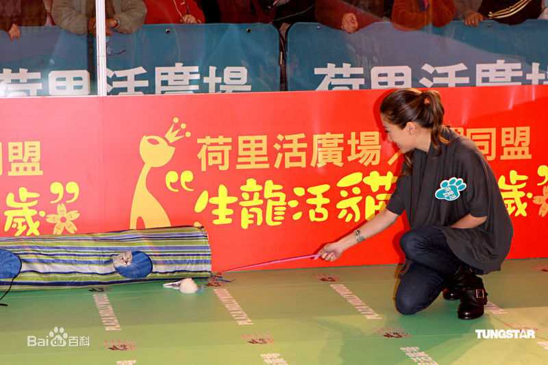 高清谢婷婷精彩图册