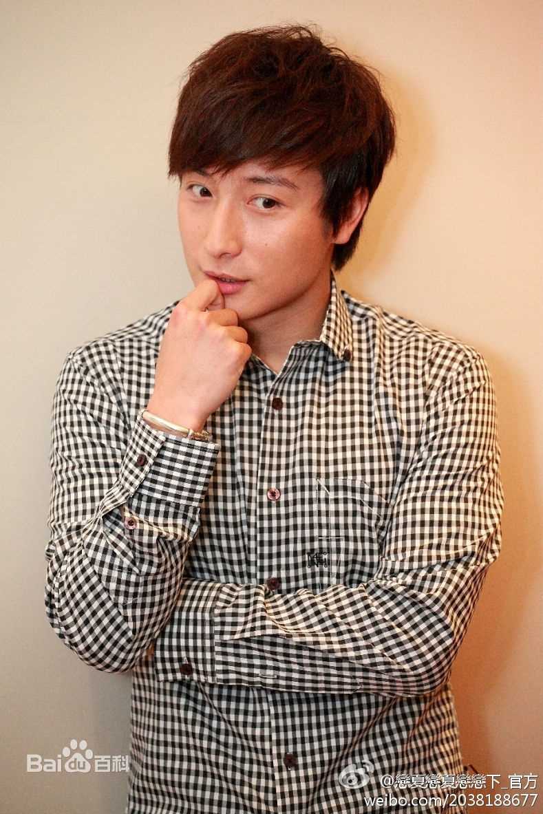 方力申(Alex Fong)2011《夏日恋神马》最优质剧照