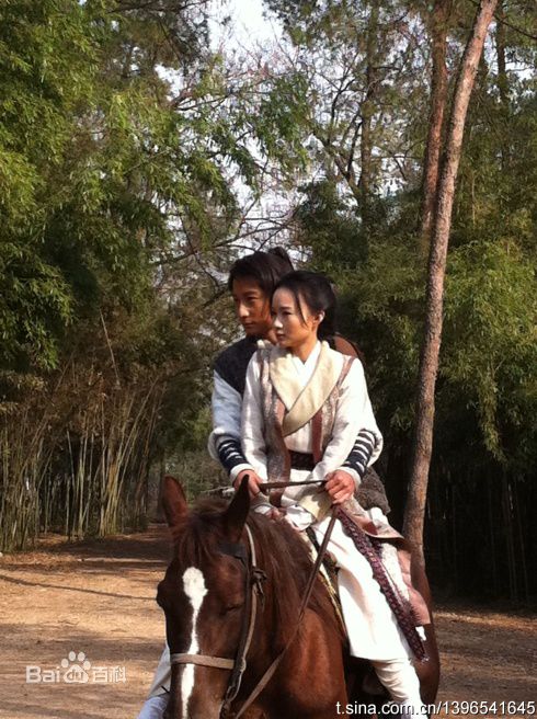 方力申(Alex Fong)2011《大唐双龙传》精选剧照