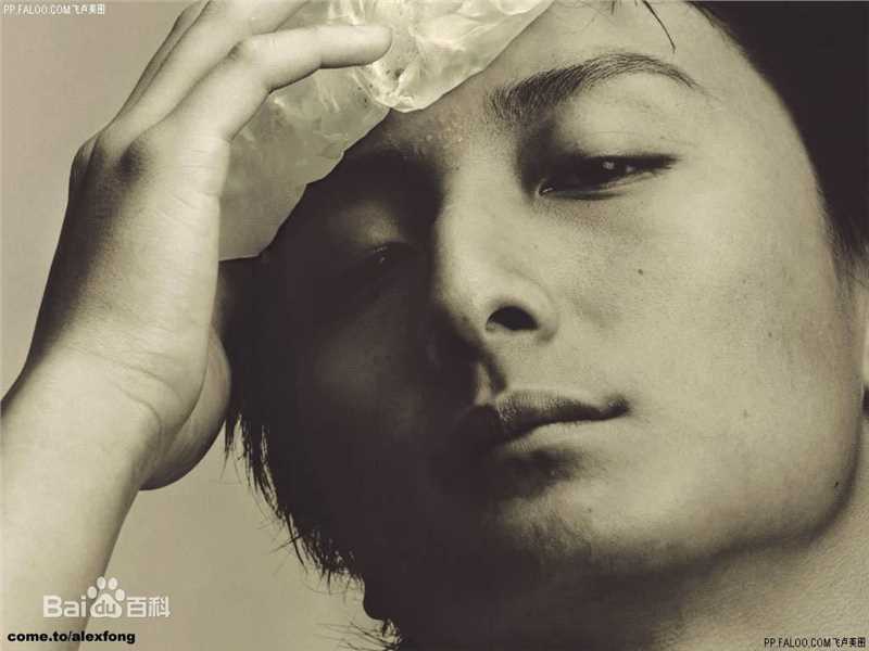 最新方力申(Alex Fong)精彩图册