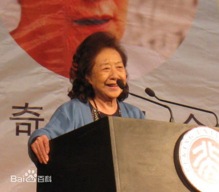 高清金雅琴图片