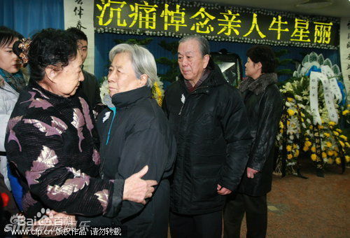 精选金雅琴精彩图册