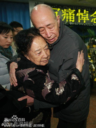 精选金雅琴精彩图册