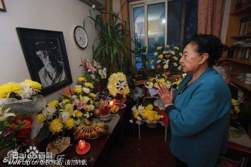 精选金雅琴精彩图册