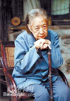 高清金雅琴图片