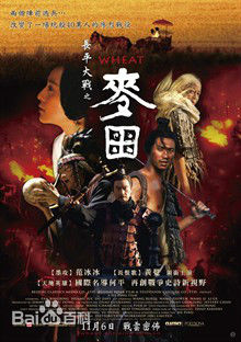 高清金雅琴图片