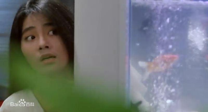 高清倪淑君(Joyce)在1984年《阴阳错》饰演张小瑜中的图集