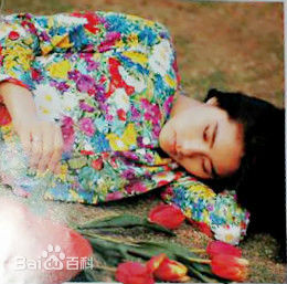 倪淑君(Joyce)最优质早期杂志相册