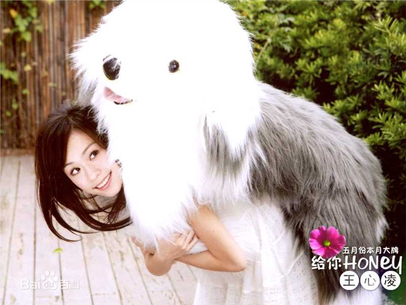 高清王心凌(Cyndi Wang)在《Honey》中的图集