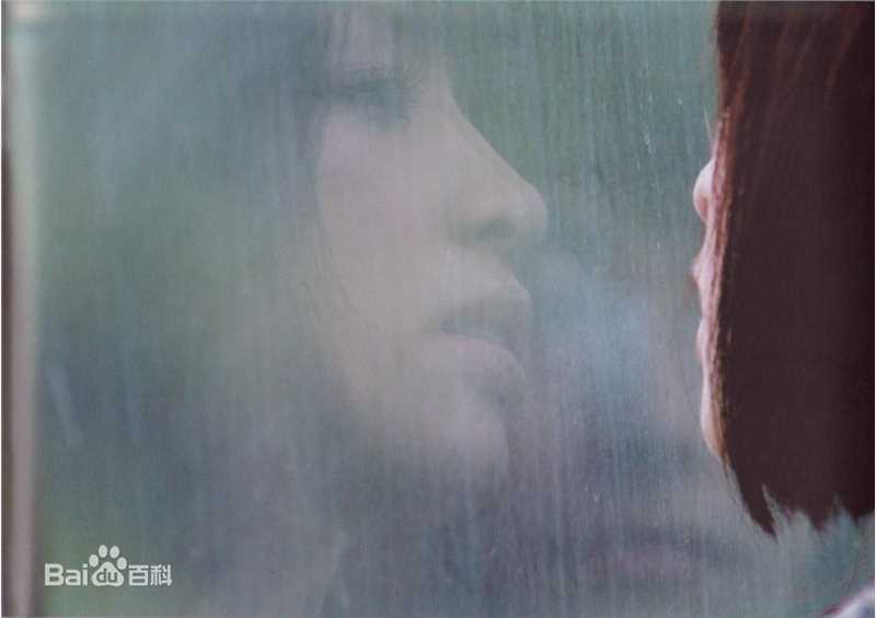 王心凌(Cyndi Wang)fly Cyndi素颜照壁纸