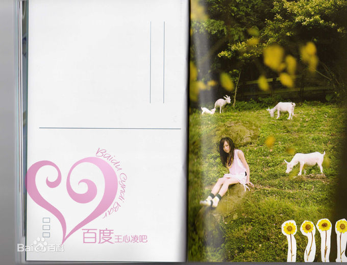 王心凌(Cyndi Wang)美丽的日子图册