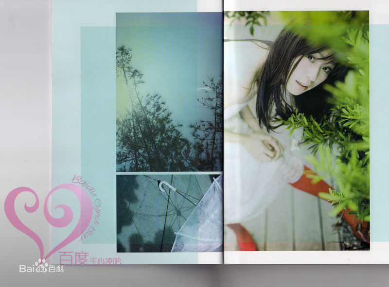 王心凌(Cyndi Wang)美丽的日子图册