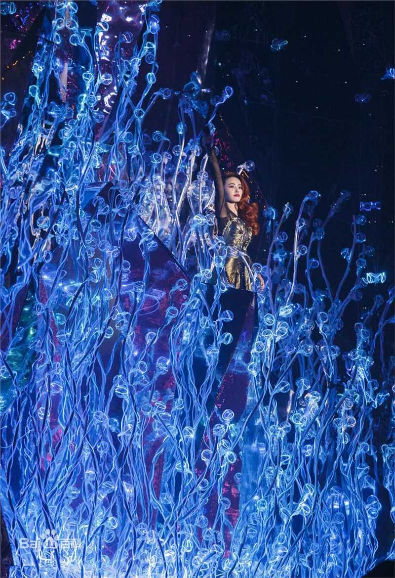 蔡依林(Jolin Tsai、 （韩）、ツァイ イーリン（日）、 （泰）)Play世界巡回演唱会素颜照相册