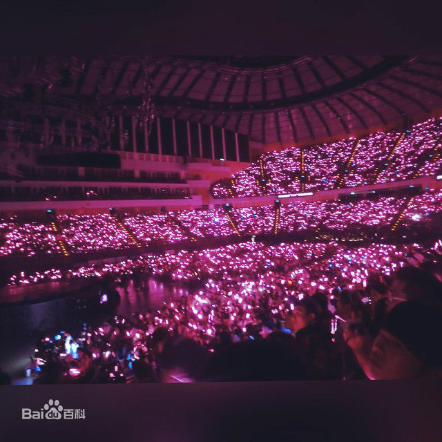 蔡依林(Jolin Tsai、 （韩）、ツァイ イーリン（日）、 （泰）)演唱会人海图壁纸壁纸