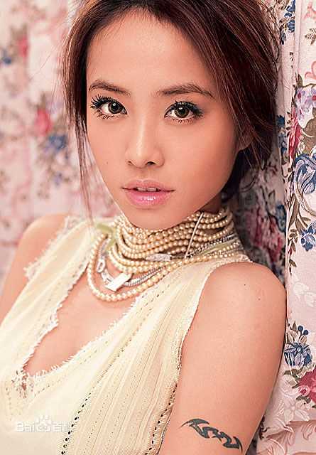 精选蔡依林(Jolin Tsai、 （韩）、ツァイ イーリン（日）、 （泰）)