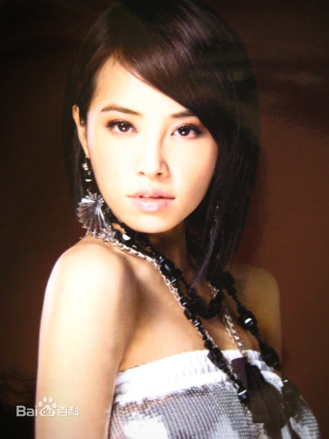 精选蔡依林(Jolin Tsai、 （韩）、ツァイ イーリン（日）、 （泰）)