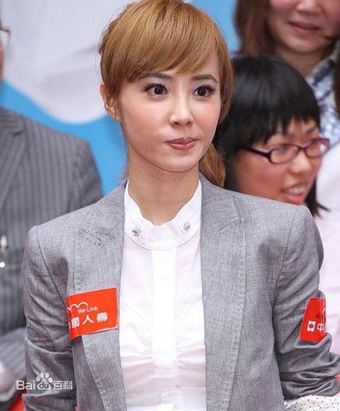 精选蔡依林(Jolin Tsai、 （韩）、ツァイ イーリン（日）、 （泰）)