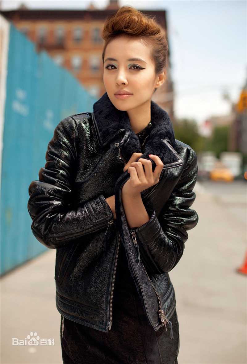 精选蔡依林(Jolin Tsai、 （韩）、ツァイ イーリン（日）、 （泰）)