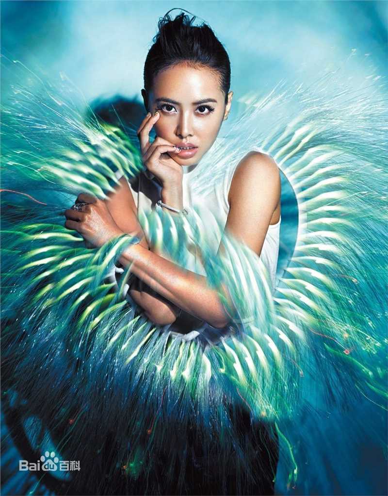 蔡依林(Jolin Tsai、 （韩）、ツァイ イーリン（日）、 （泰）)杂志封面辑