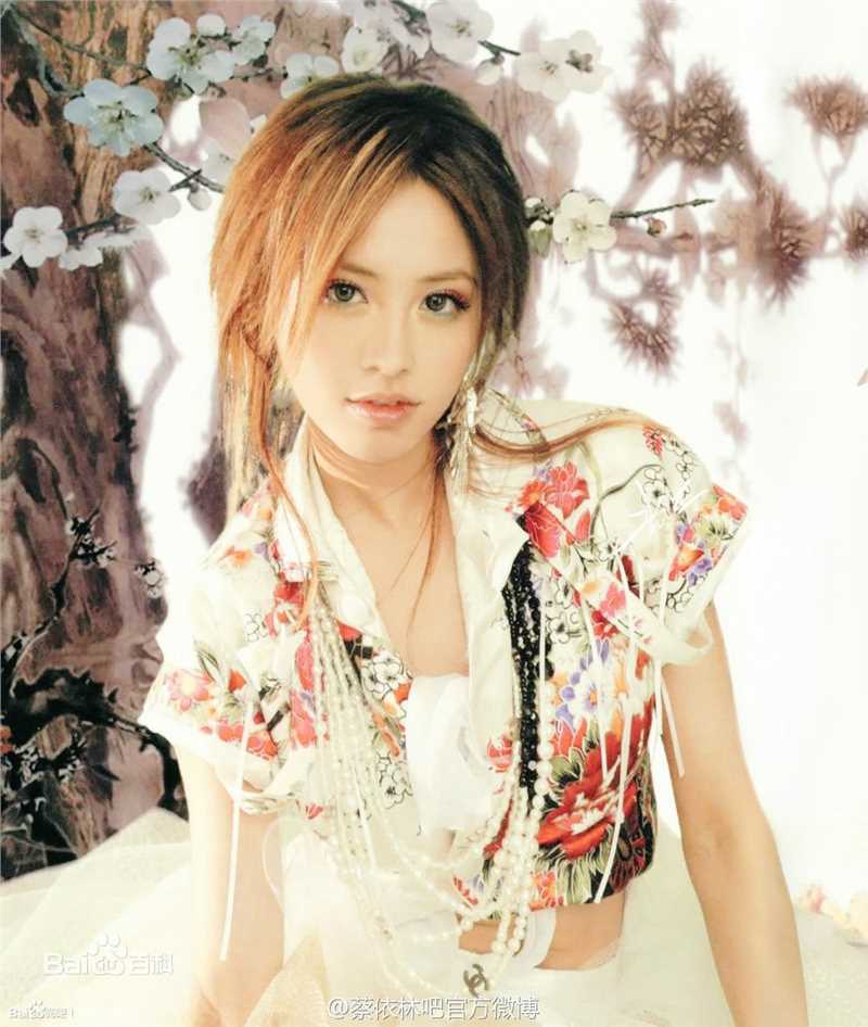 蔡依林(Jolin Tsai、 （韩）、ツァイ イーリン（日）、 （泰）)2003~2005年索尼时期壁纸壁纸