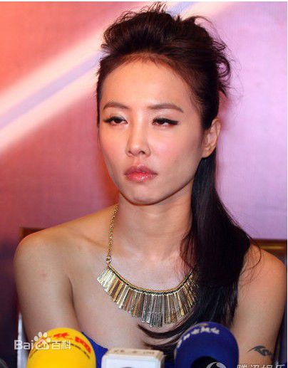 最新蔡依林(Jolin Tsai、 （韩）、ツァイ イーリン（日）、 （泰）)精彩图册