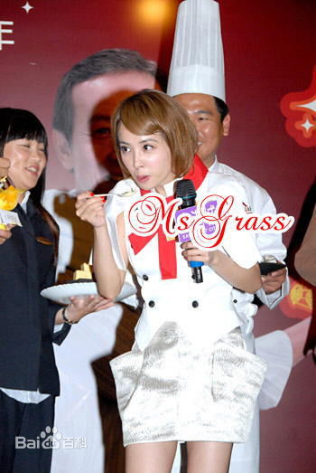 蔡依林(Jolin Tsai、 （韩）、ツァイ イーリン（日）、 （泰）)2009.4.23东港城第二届台湾夜市节壁纸壁纸