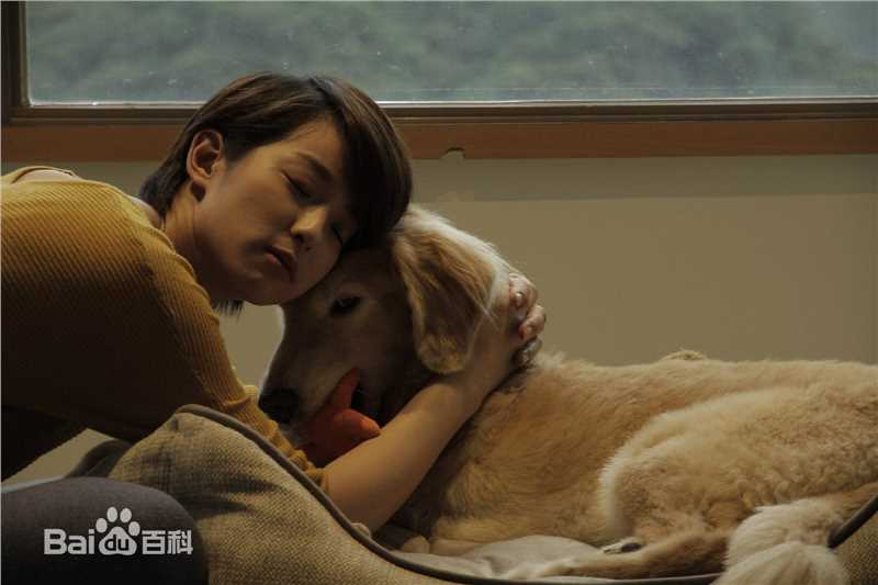 赖雅妍(Megan Lai)剧照