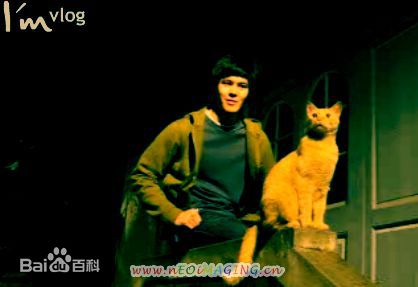 张大镛(Jason Chang)照片图片图集