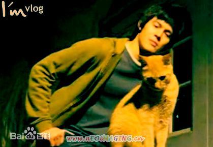 张大镛(Jason Chang)照片图片图集