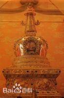 最新洪连城性感图片