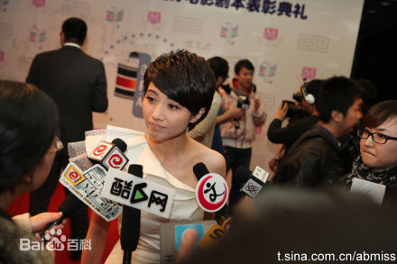 颜丙燕(Yan Bingyan)中国电影优秀剧本颁奖典礼壁纸壁纸