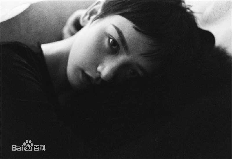 李晓峰最全 壁纸