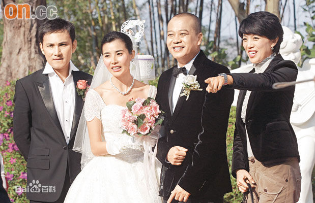 蒙嘉慧(Yoyo Mung)法证先锋素颜照壁纸