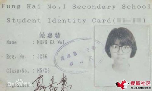 蒙嘉慧(Yoyo Mung)和郑伊健性感图片图集