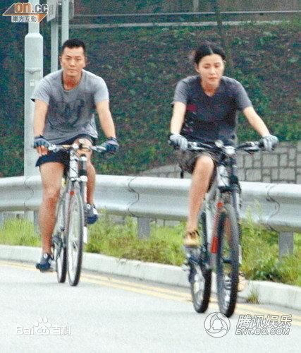 蒙嘉慧(Yoyo Mung)和郑伊健性感图片图集